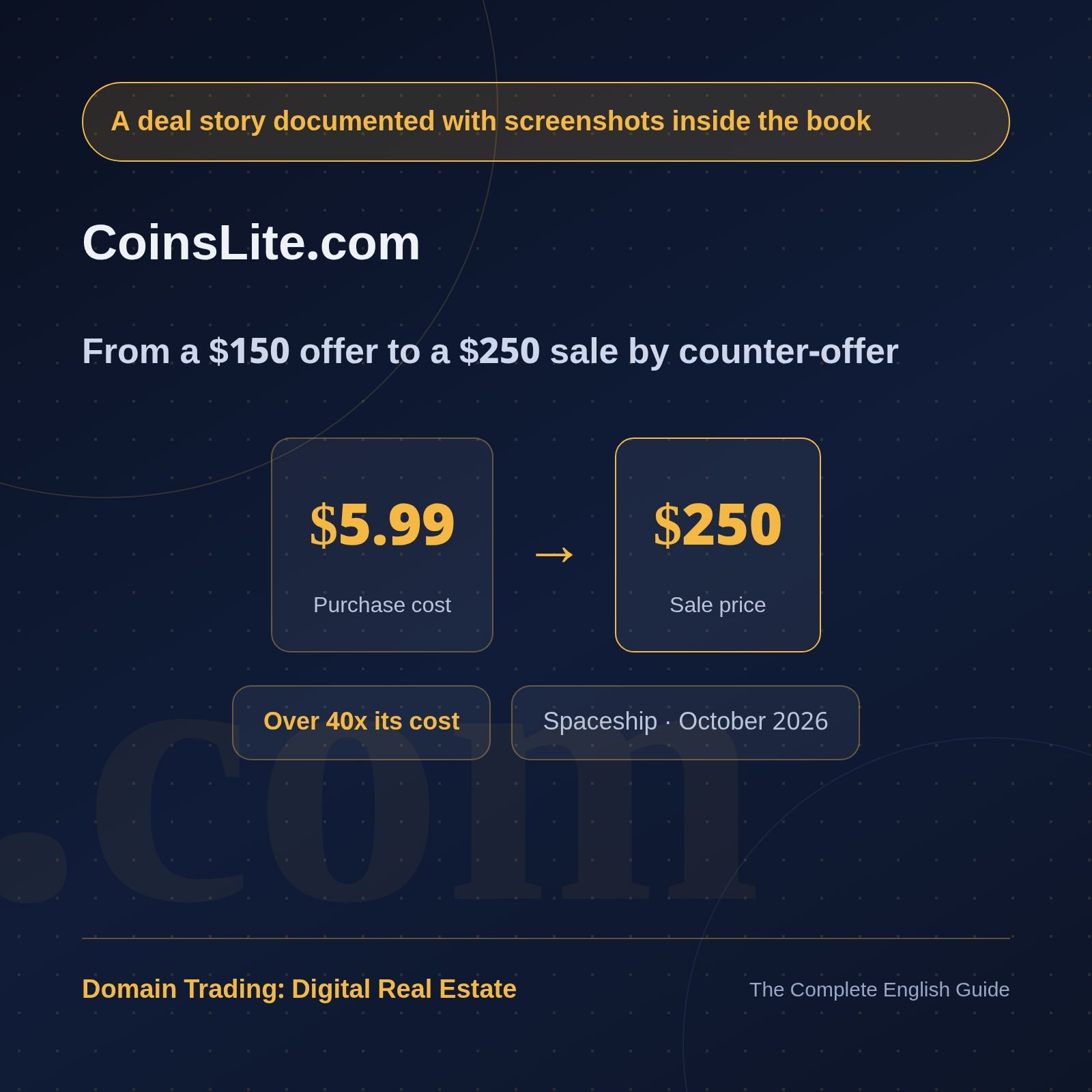 Domain Trading: Digital Real Estate | The Complete Guide to Buying, Valuing and Selling Domain Names product image (5)