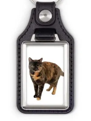 Keychain 🔑 product image (1)