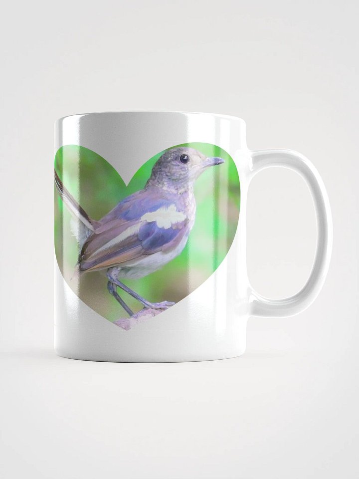 IUCAA Birds WHITE MUG product image (1)