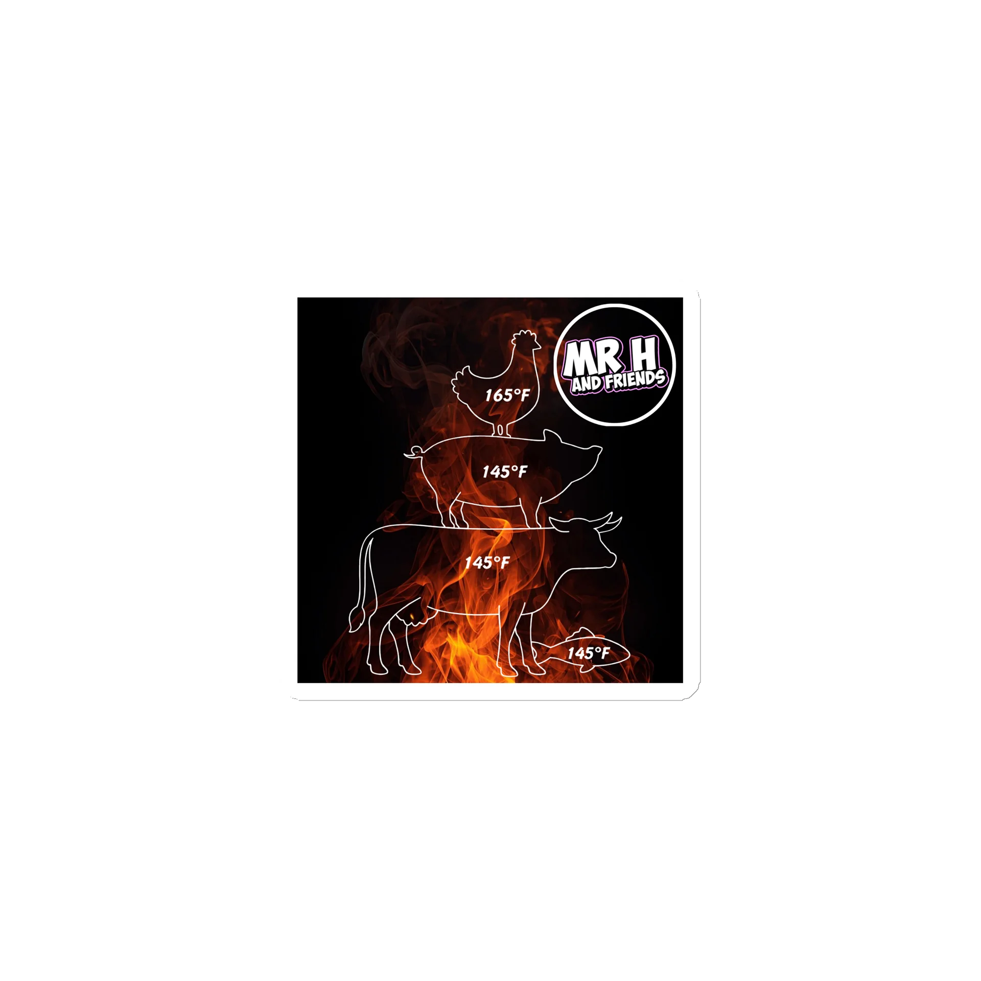 Flames Magnet - USDA Safe Internal Temps product image (1)