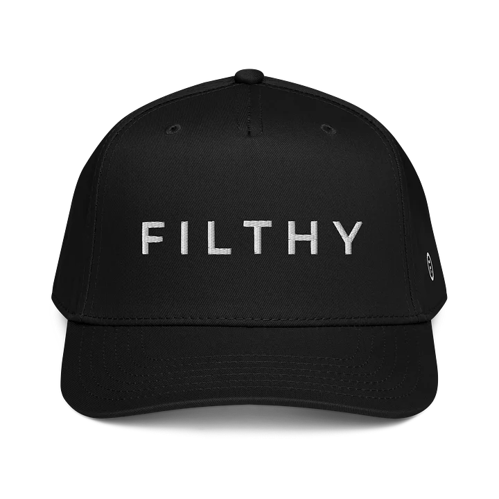 Filthy baseball cap product image (2)