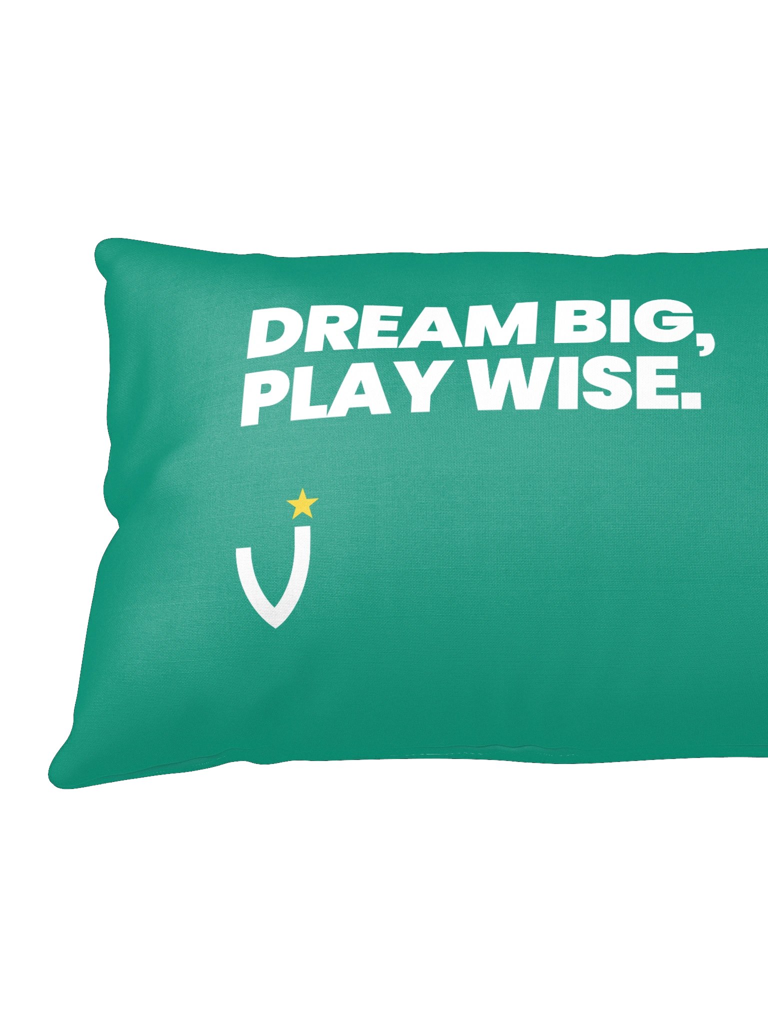 DREAM BIG, PLAY WISE Basic Pillow product image (8)