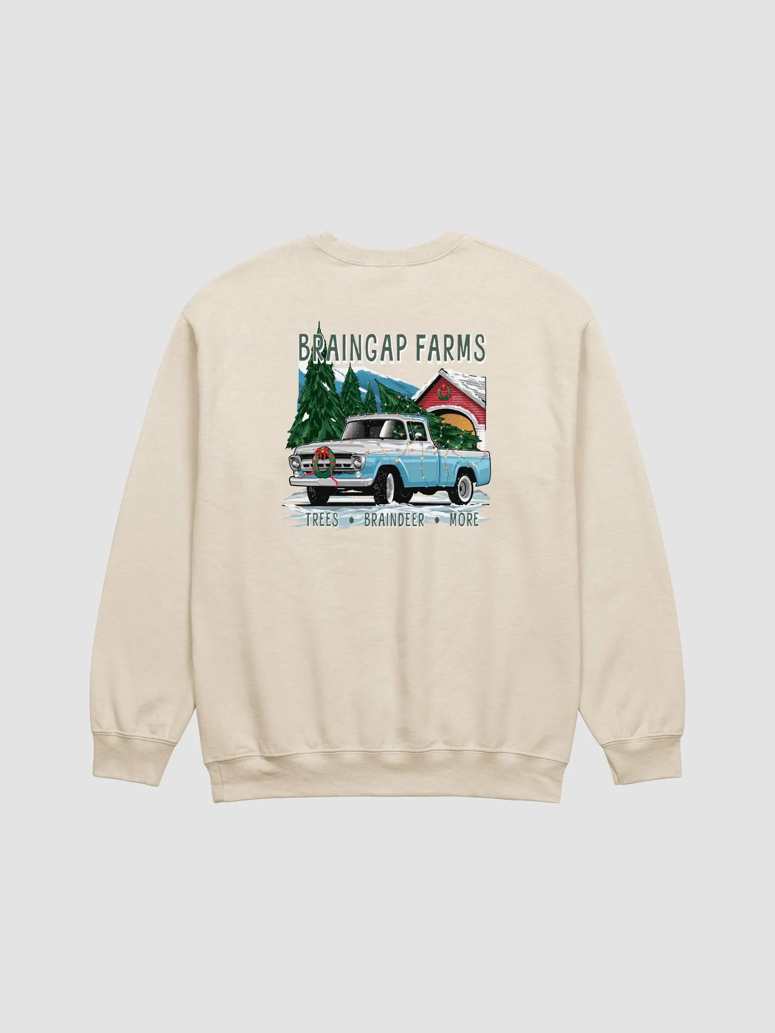 Braingap Farms Sweatshirt product image (7)