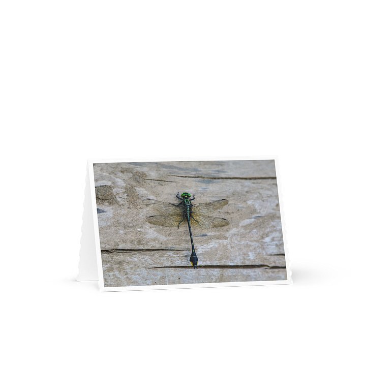 Dragonfly - Greeting Card product image (1)