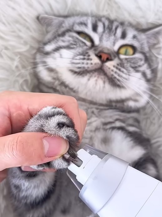 Mess-Free 8-in-1 Pet Vacuum Grooming Kit product image (7)
