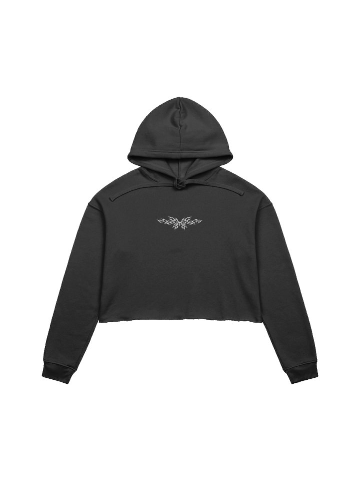 Skull Tribe : Crop Hoodie product image (1)