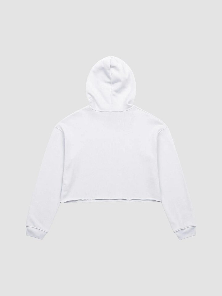Crop PTV Hoodie product image (2)