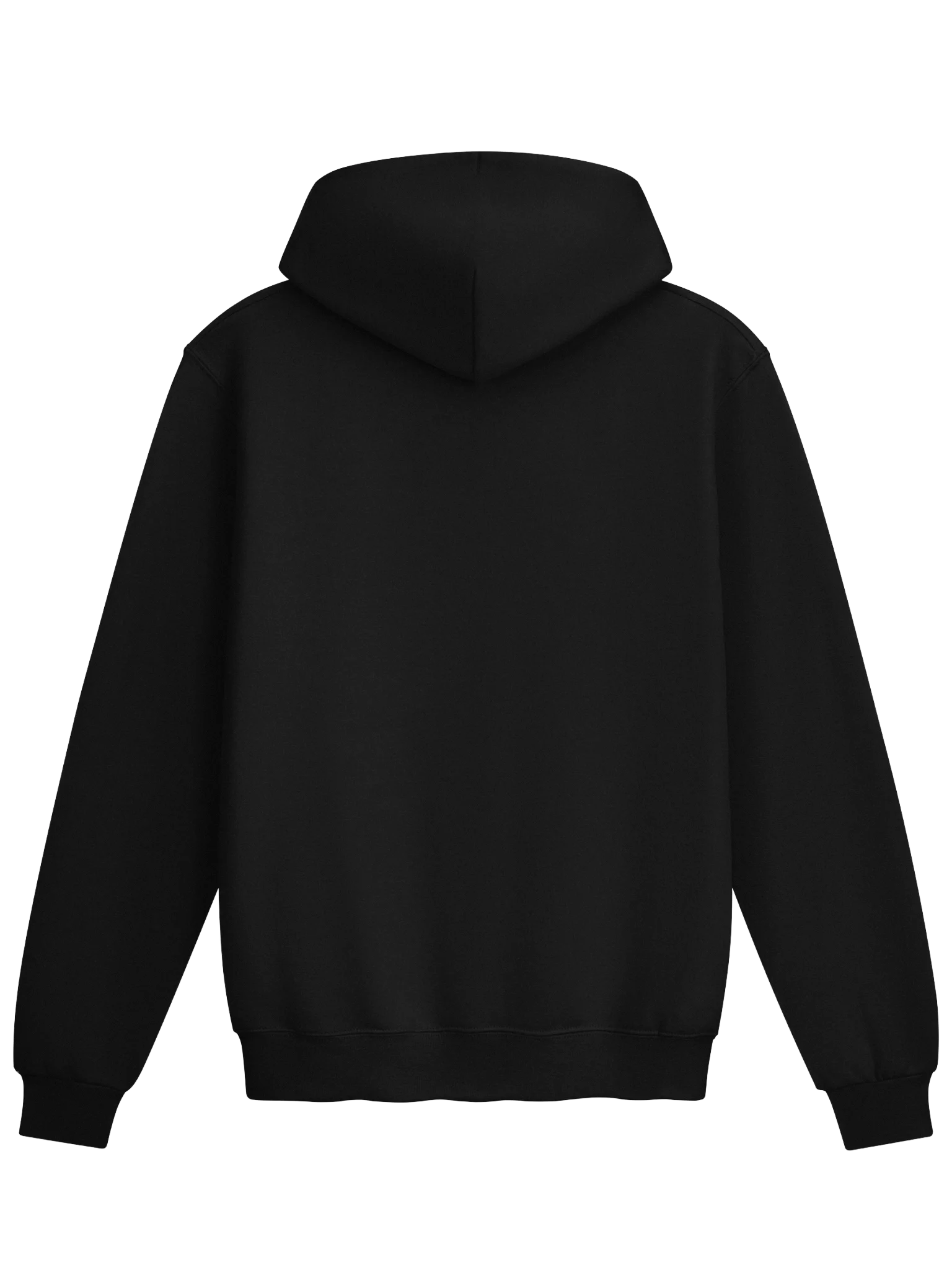 FifeMX Champion Hoodie product image (2)