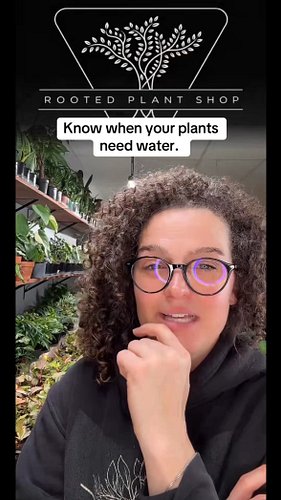 Learn more about your plants, build your jungle. Rooted Plant Care Guides can help you understand. 

Therootedplantshop.com 
...