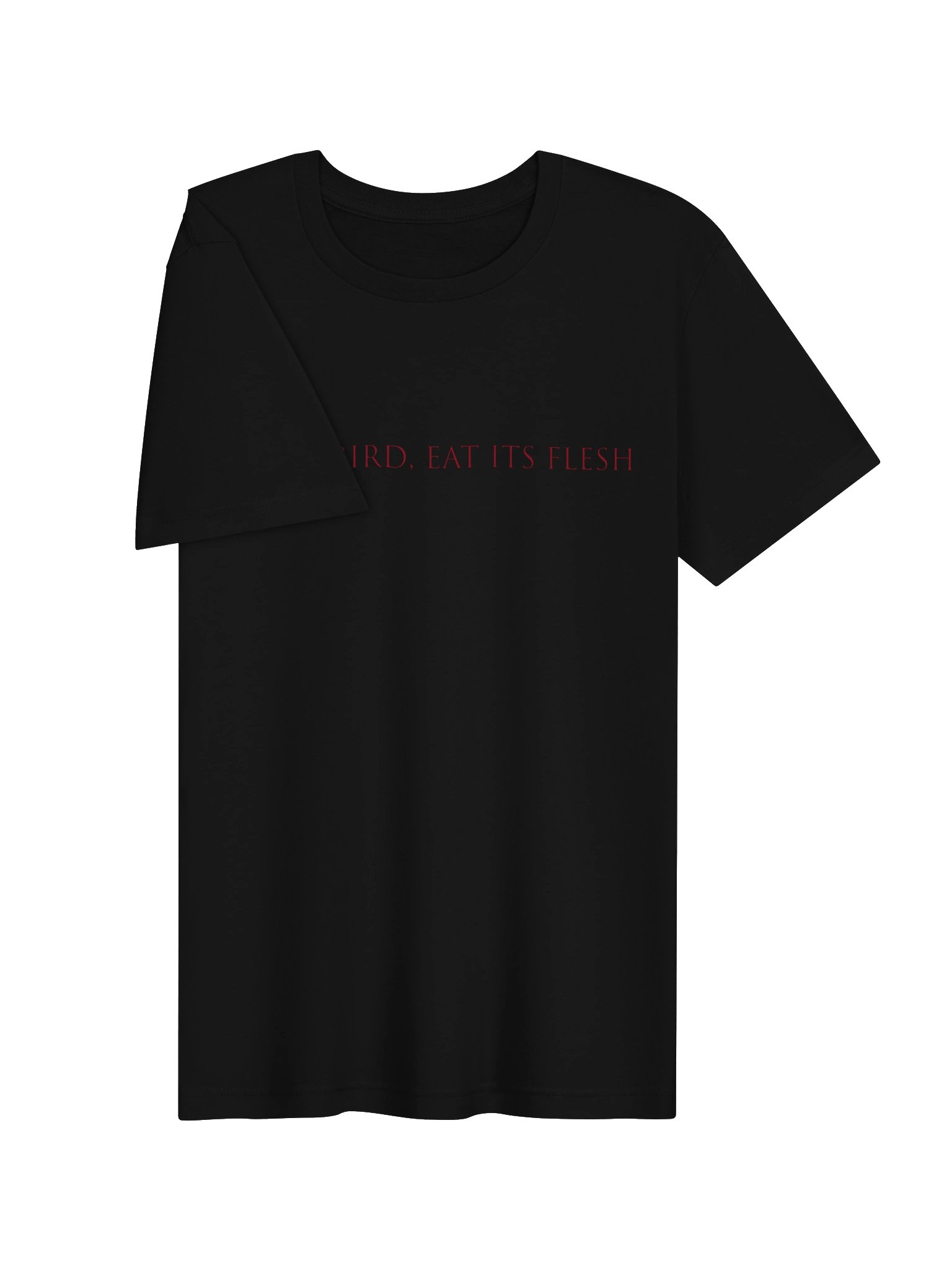 The Proclamation [Kill a bird T-Shirt] product image (2)