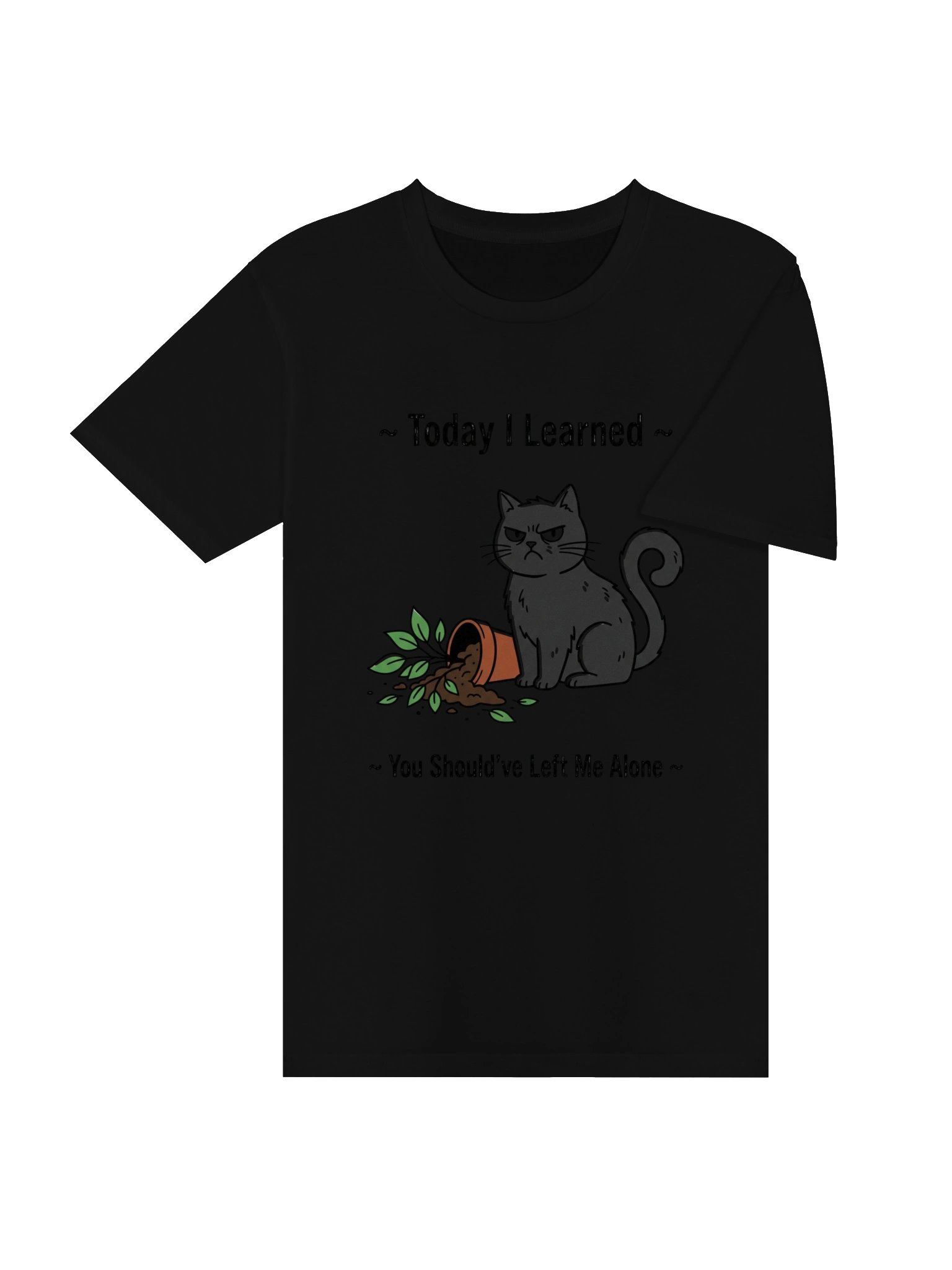 Today I Learned Something About Boundaries for Cat Lovers T-Shirt product image (22)