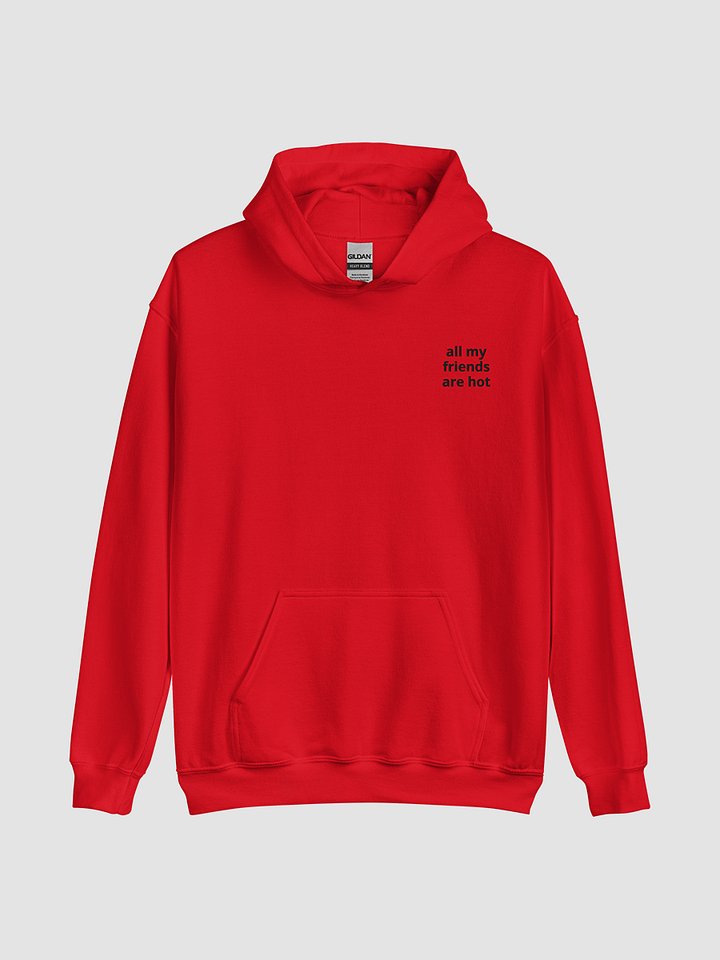 Hot Friends Hoodie - Black Text product image (1)