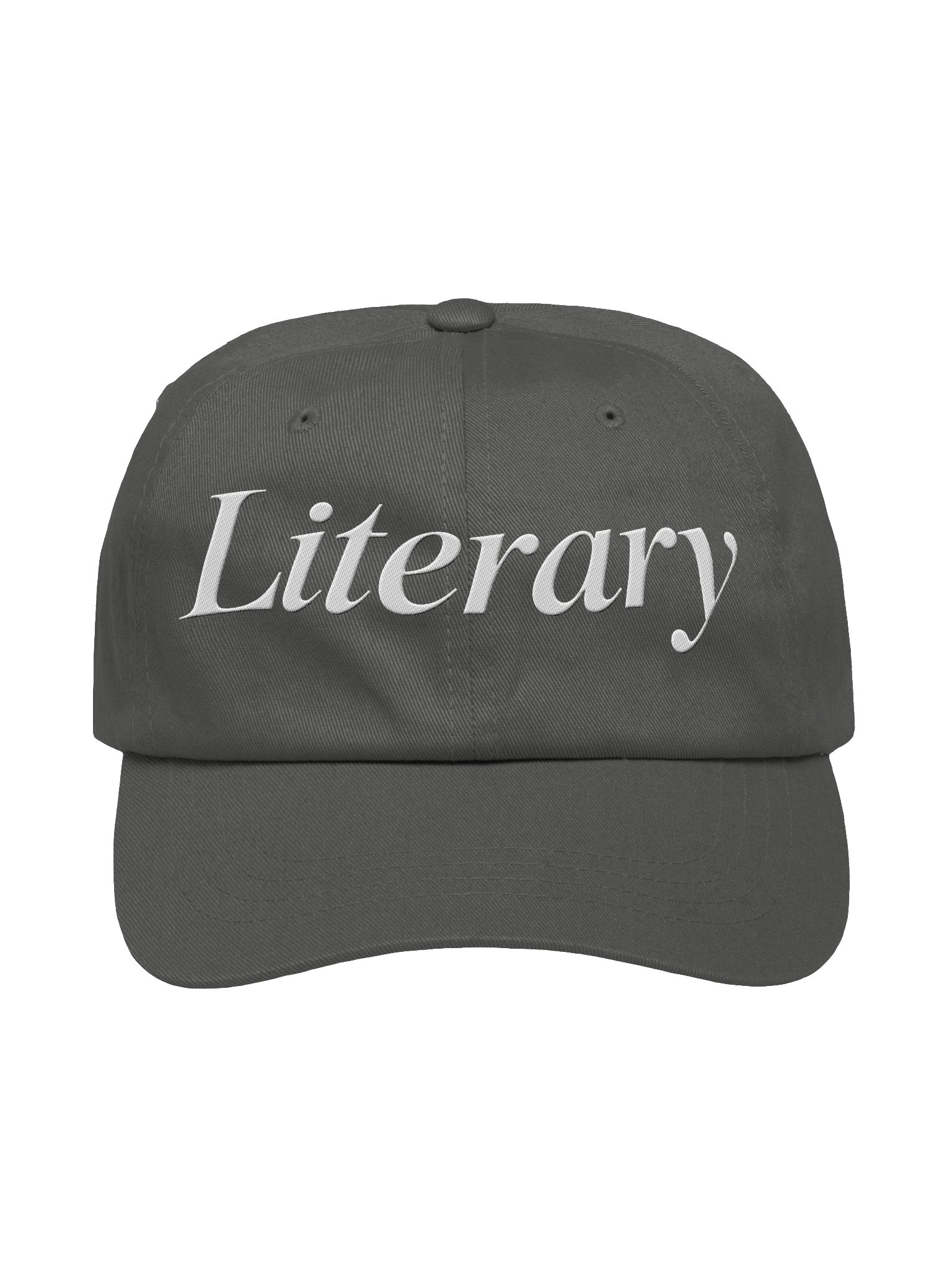 Literary Dad Hat - Grey/White product image (1)