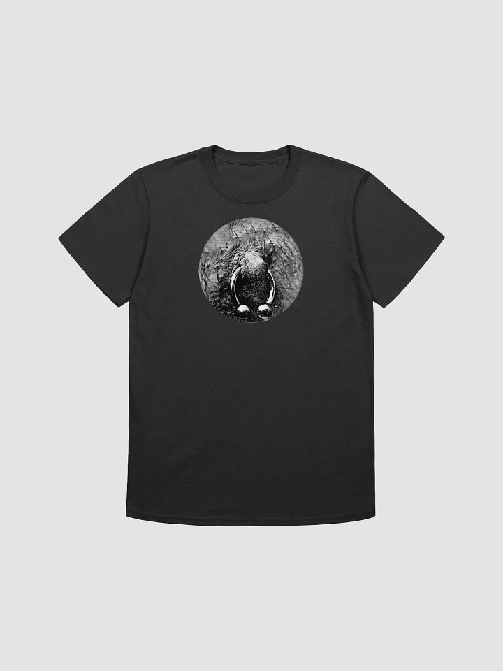 Your First Nipple Piercing Shirt product image (1)