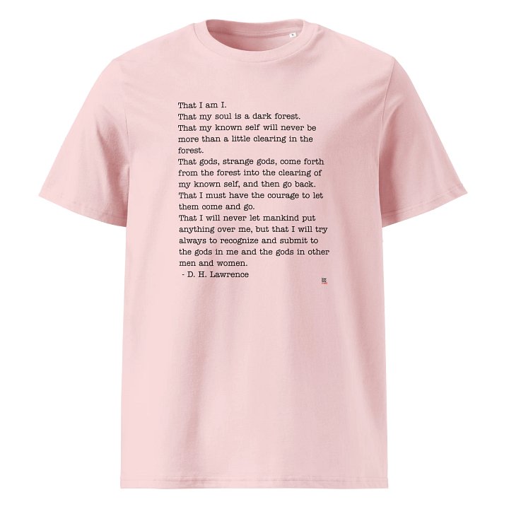 Pagan Creed StoryTee LKM Organic Tee product image (1)