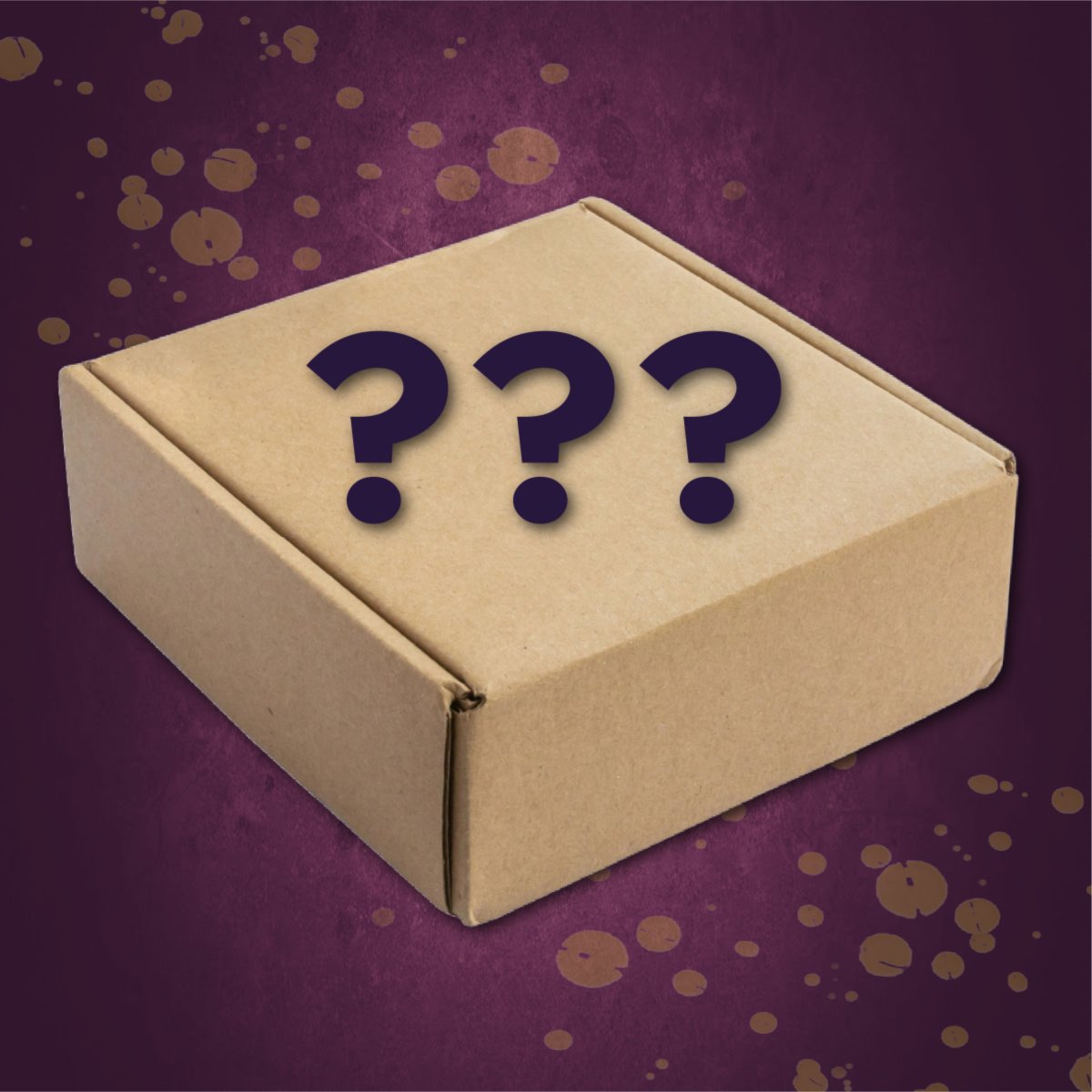 MYSTERY BOOK BOX — The Welcome Home series (books 1-3) product image (1)