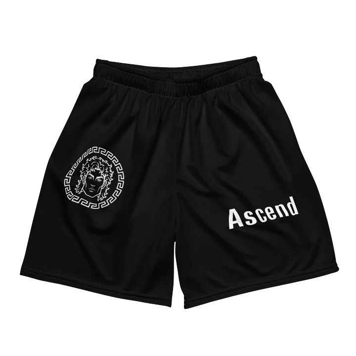 Ascend Shorts product image (2)