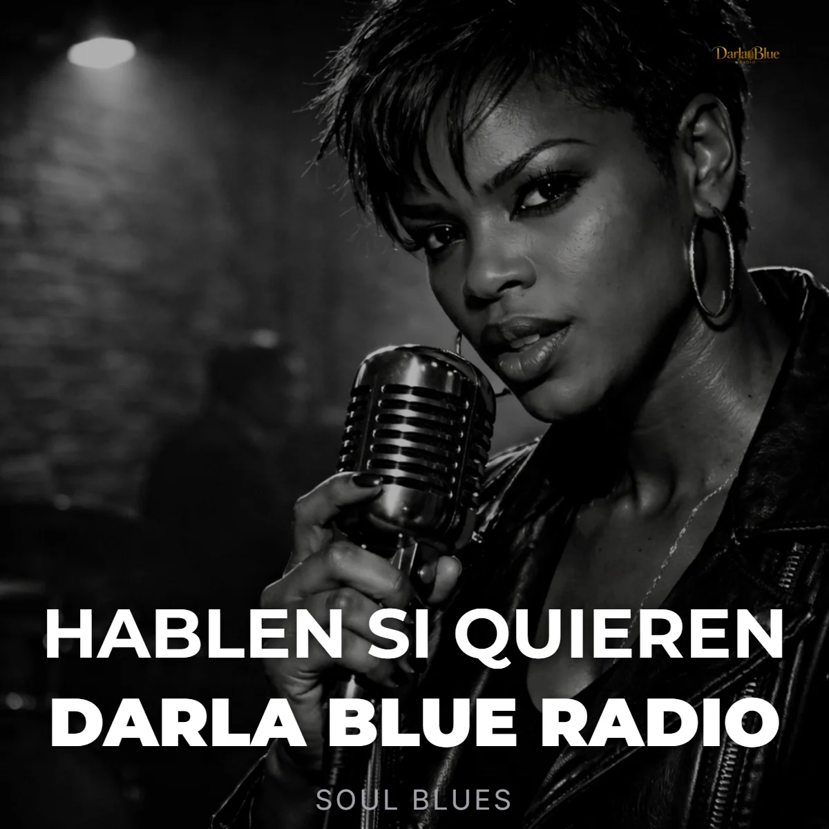 Hablen Si Quieren - Darla Blue Radio (Soul Blues) | Descarga Digital product image (1)