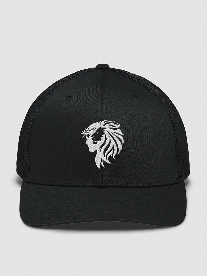 Lion of Judah product image (5)