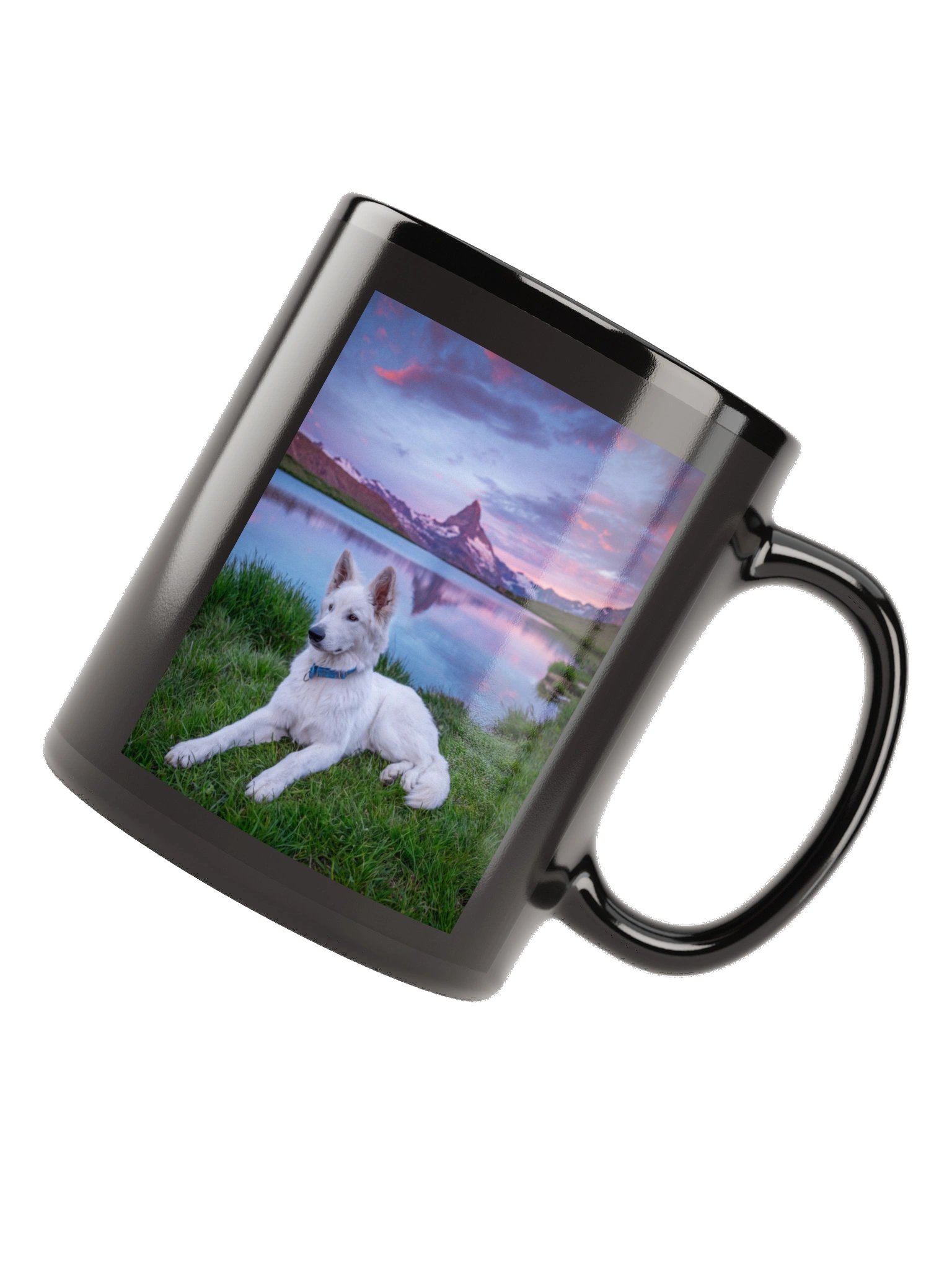 Lil Rasta at Stellisee product image (11)