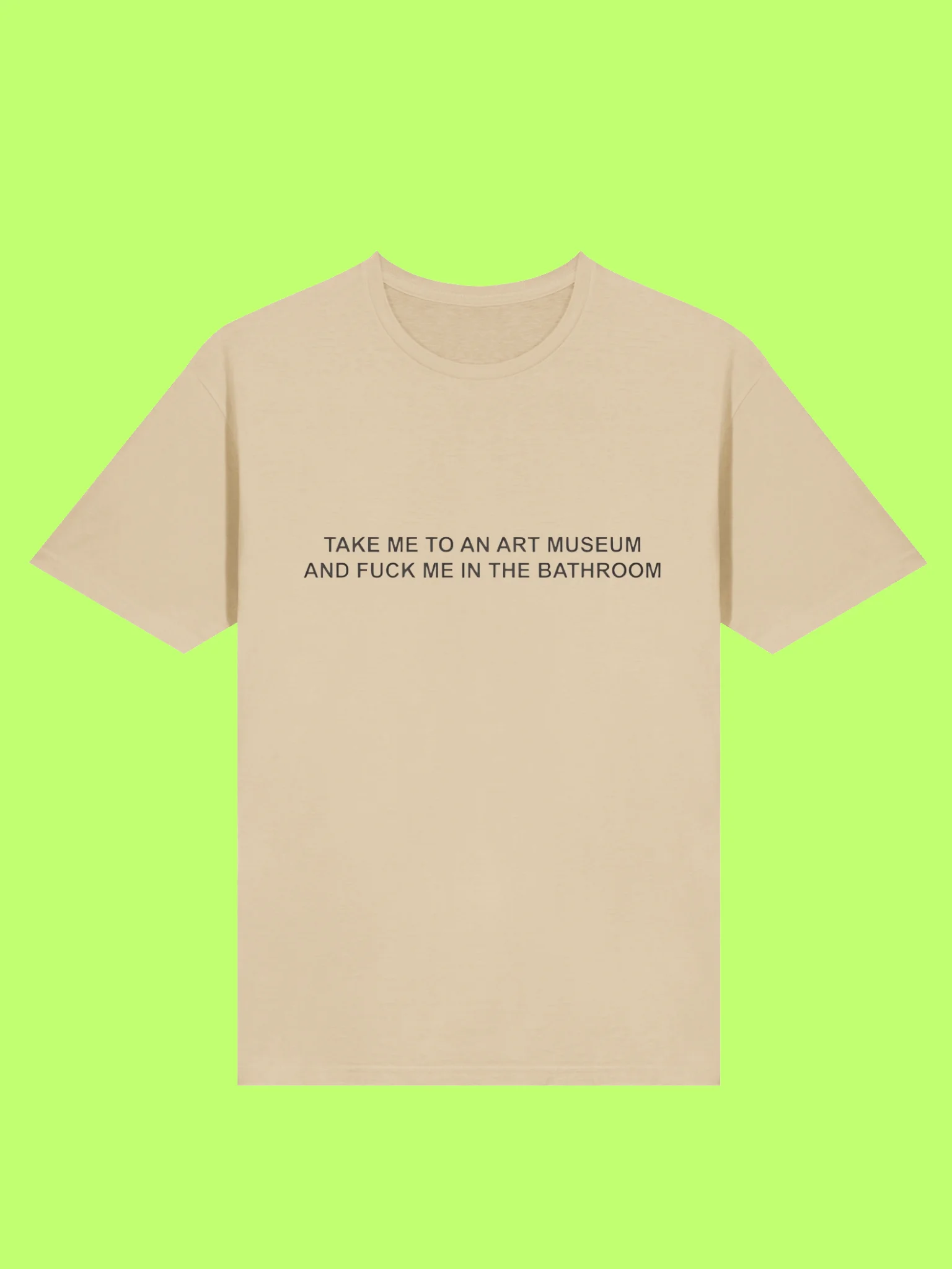 Take Me To An Art Museum And Fuck Me In The Bathroom Shirt product image (169)