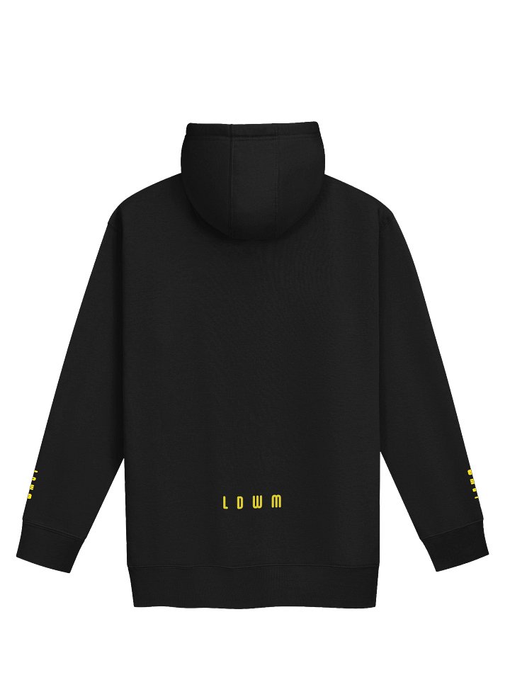 LDWM Hoodie product image (2)