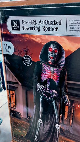 Spotted Spooky Season at @samsclub today... These look fun!
