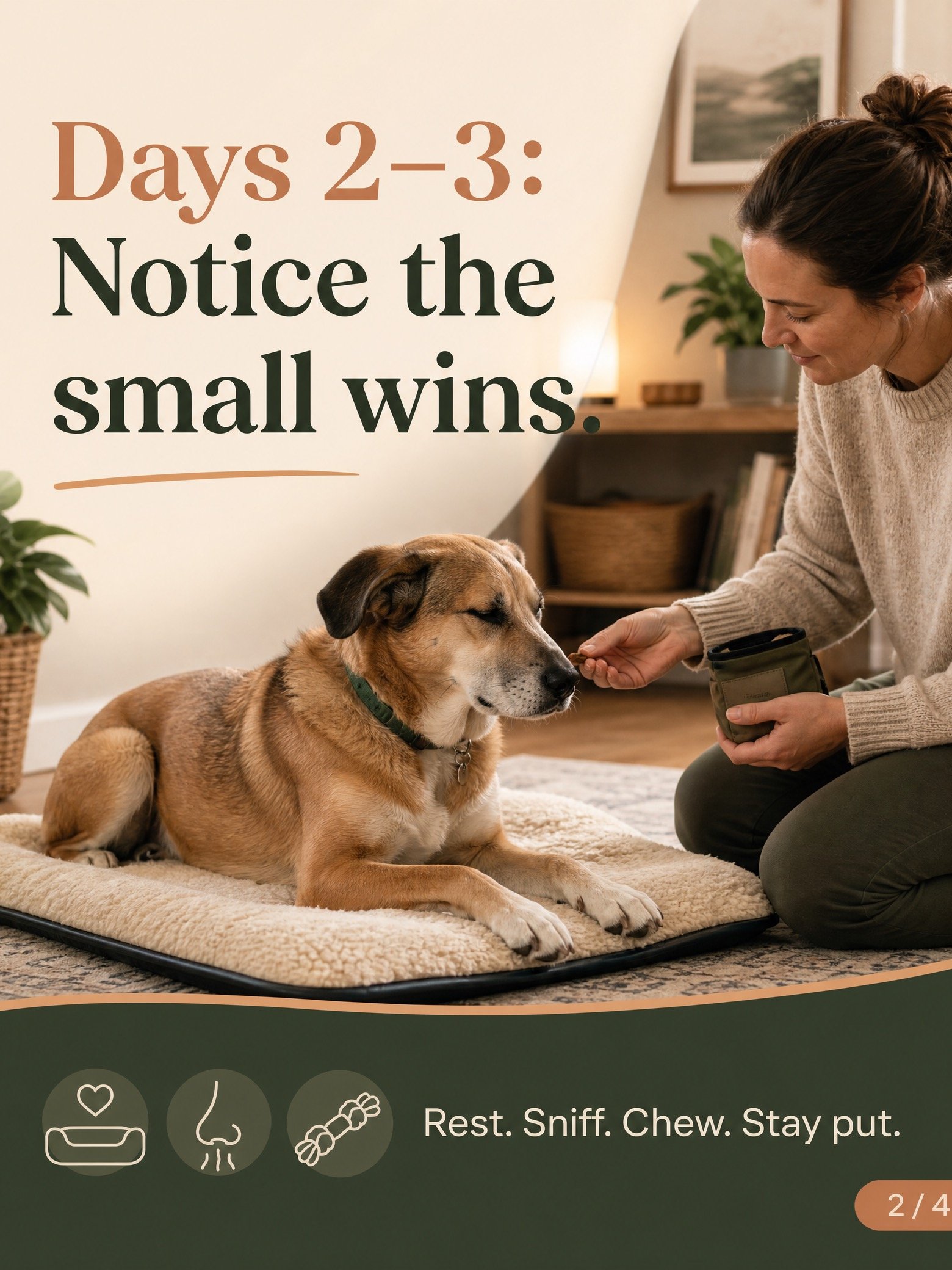 Alone & Unafraid: The 7-Day Blueprint to Ending Separation Anxiety in Your Newly Adopted Dog product image (2)
