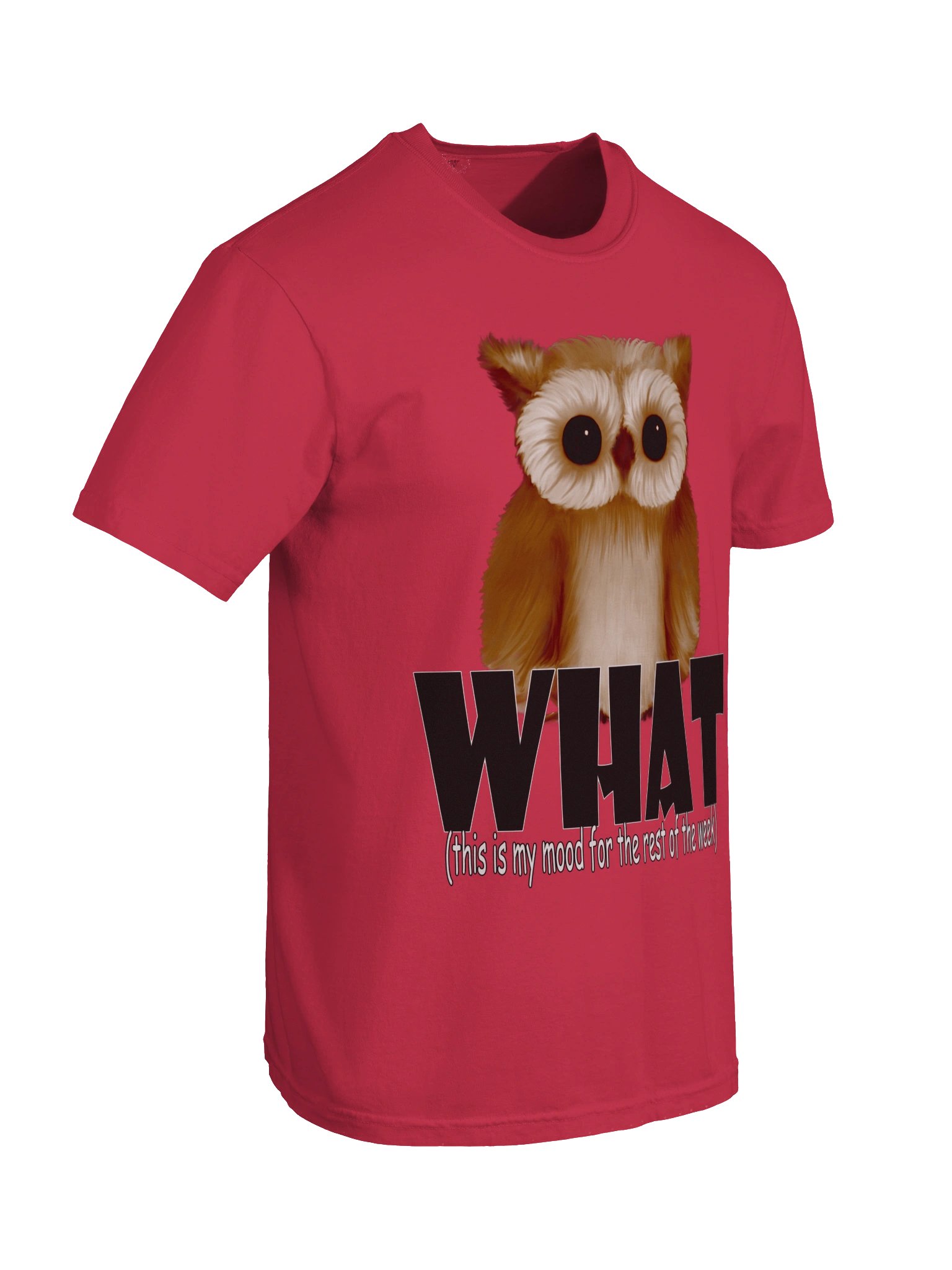 Owl "WHAT" T-Shirt. Men's Comfort Colors Garment-Dyed Heavyweight T-Shirt product image (5)
