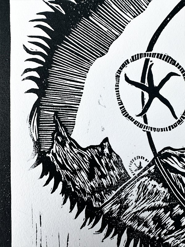 Raven's Reflection product image (3)