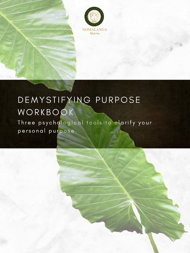 Demystifying Purpose Workbook