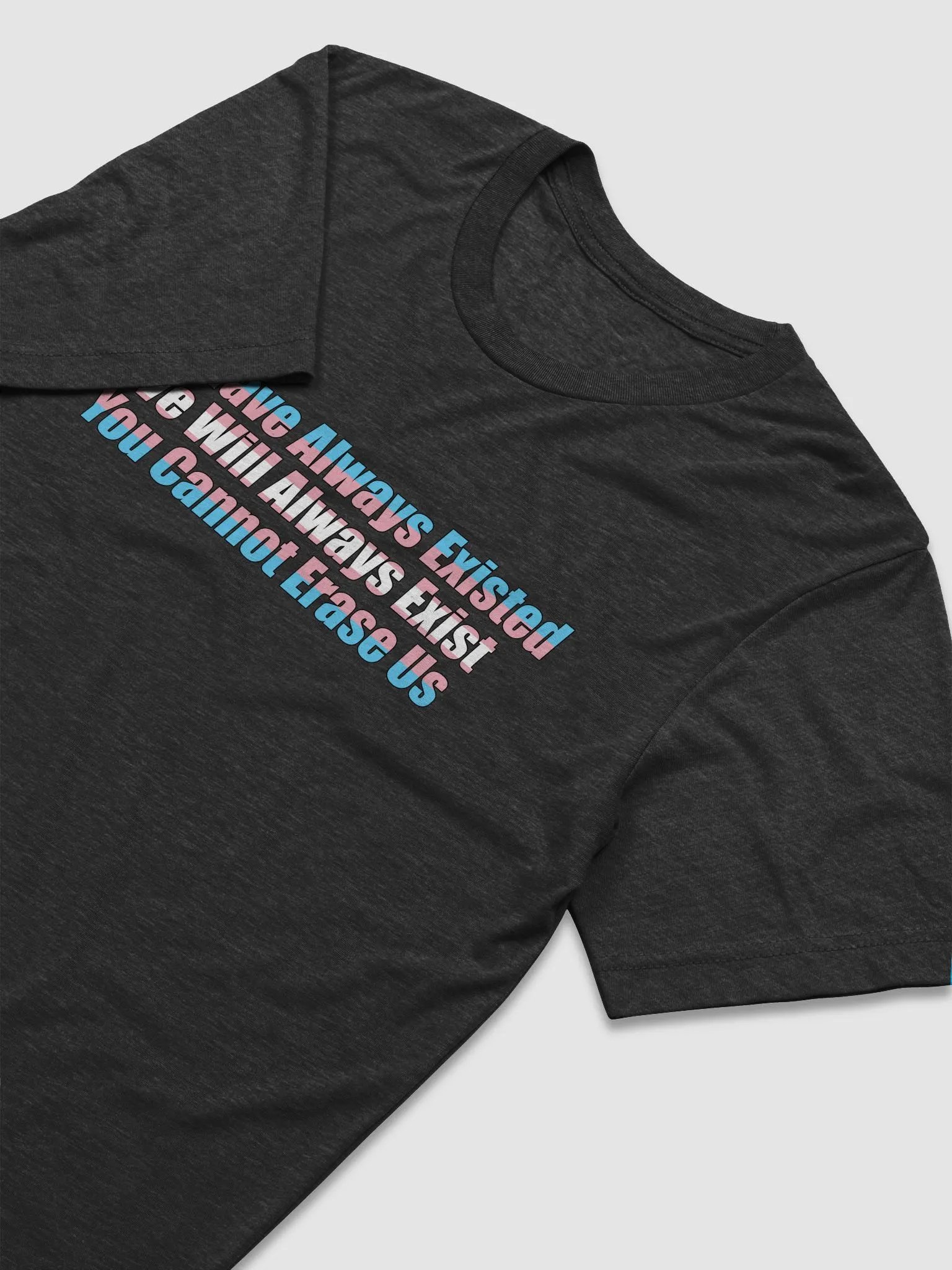 You Cannot Erase Us Tee product image (6)