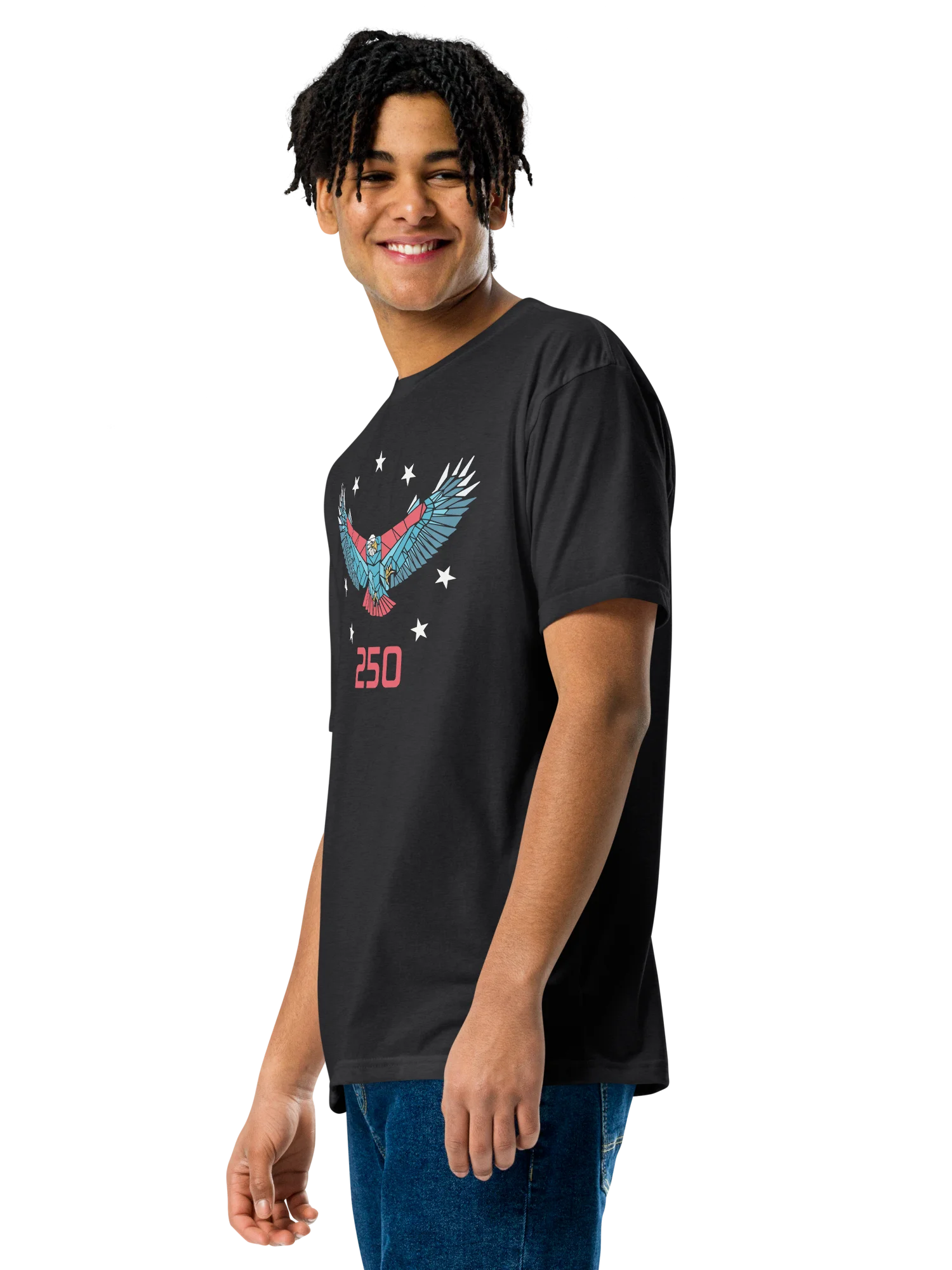 250 SPIRIT EAGLE product image (11)