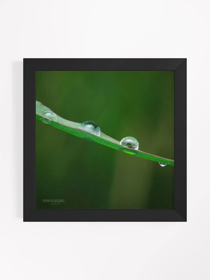 Dew Gems #5 - Framed Print product image (1)
