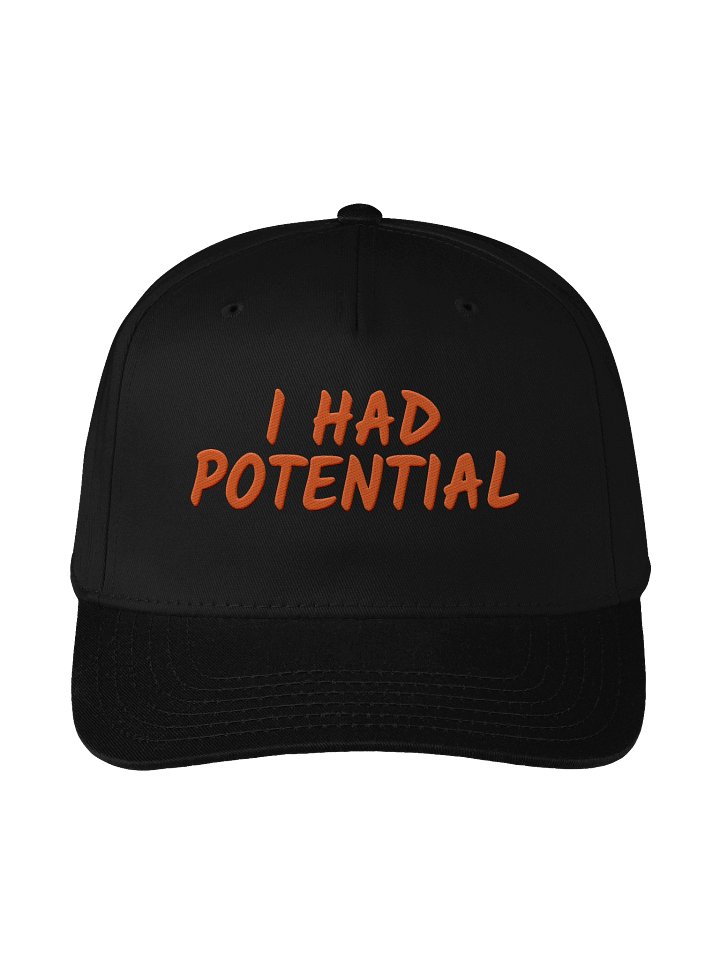 I HAD POTENTIAL Snapback Cap product image (1)