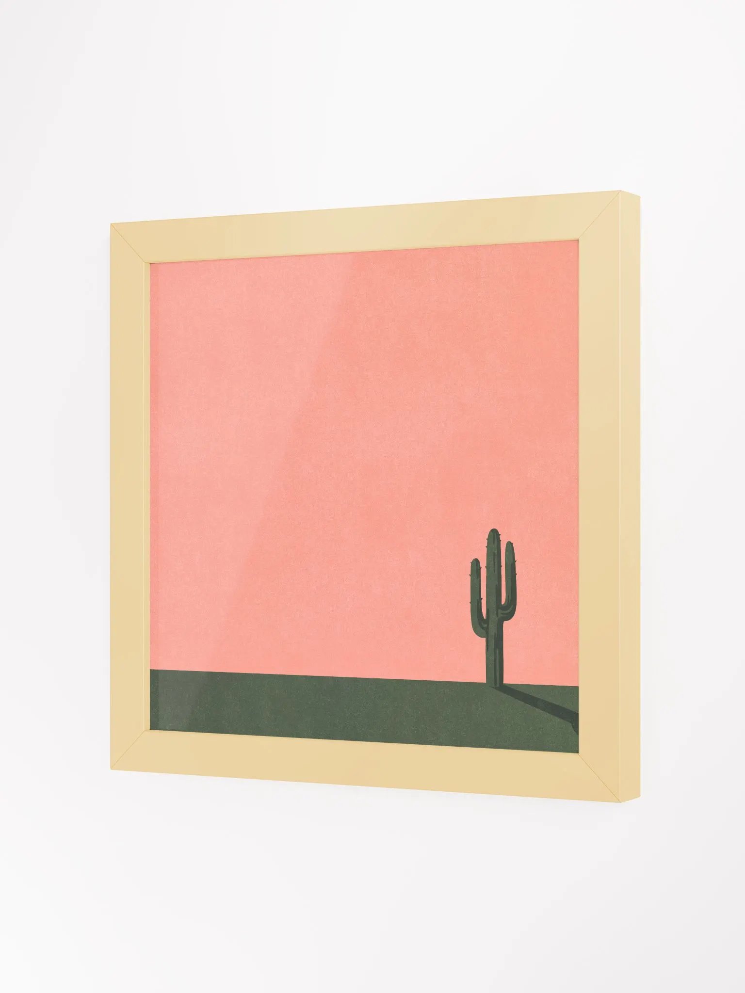 Cactus product image (2)