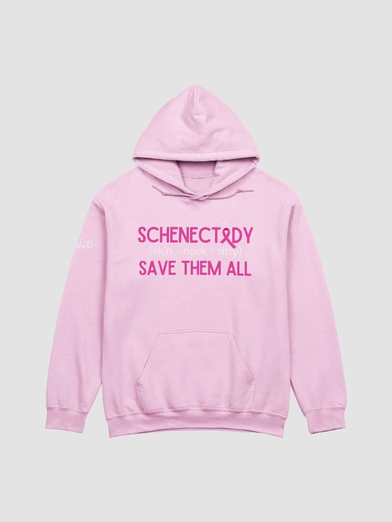 Schenectady Breast Cancer Awareness Hoodie product image (1)
