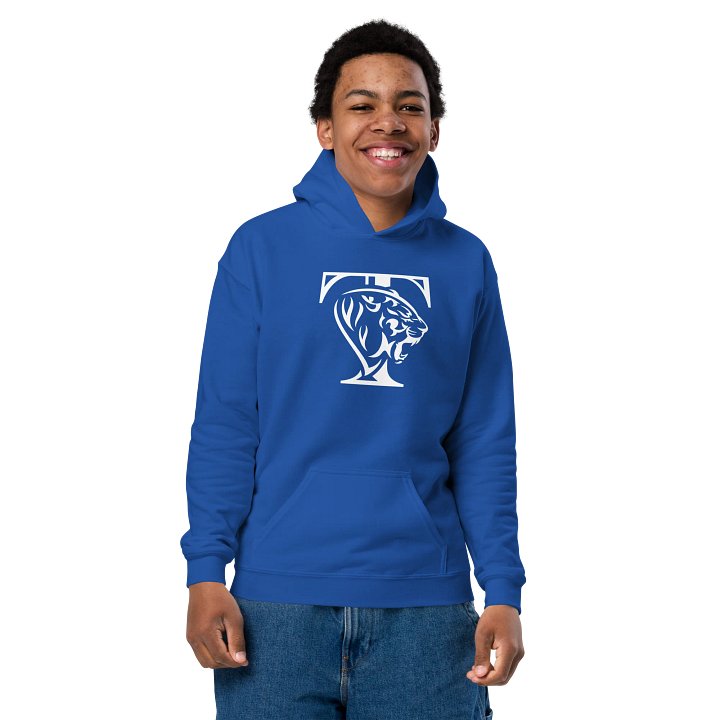 Youth Athletic Tiger Hoodie (White) product image (17)
