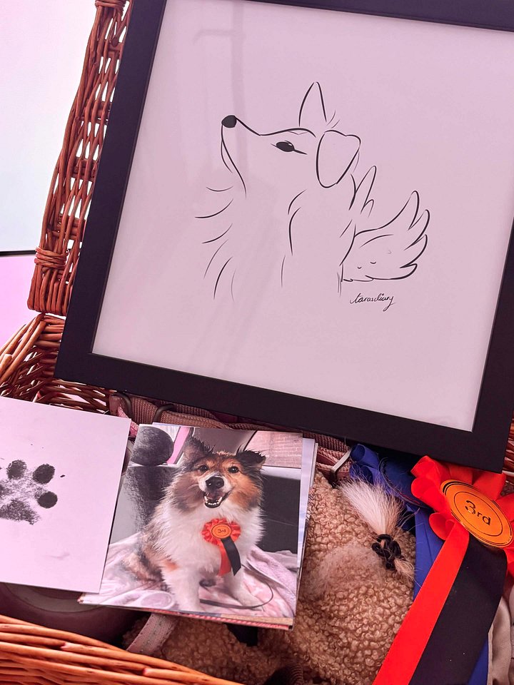 The Angel Sheltie - Framed Print product image (2)