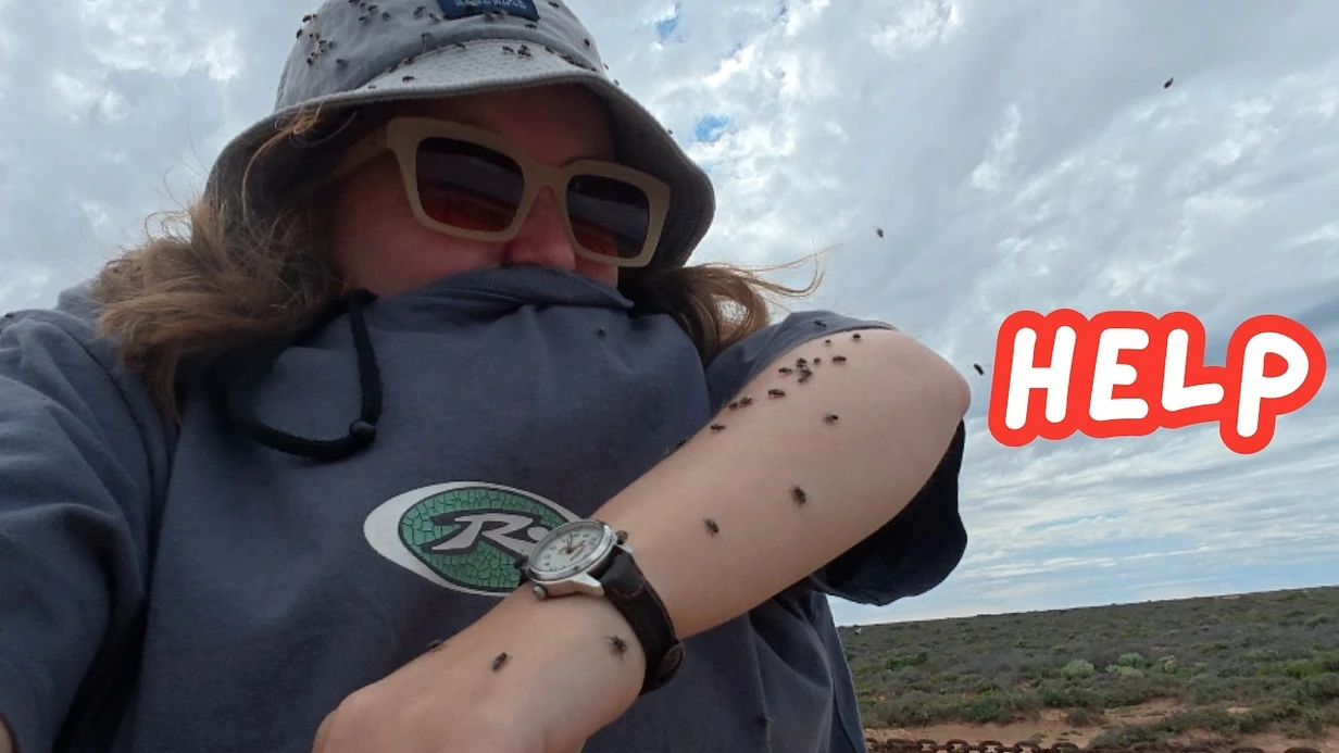 New video thumbnail
