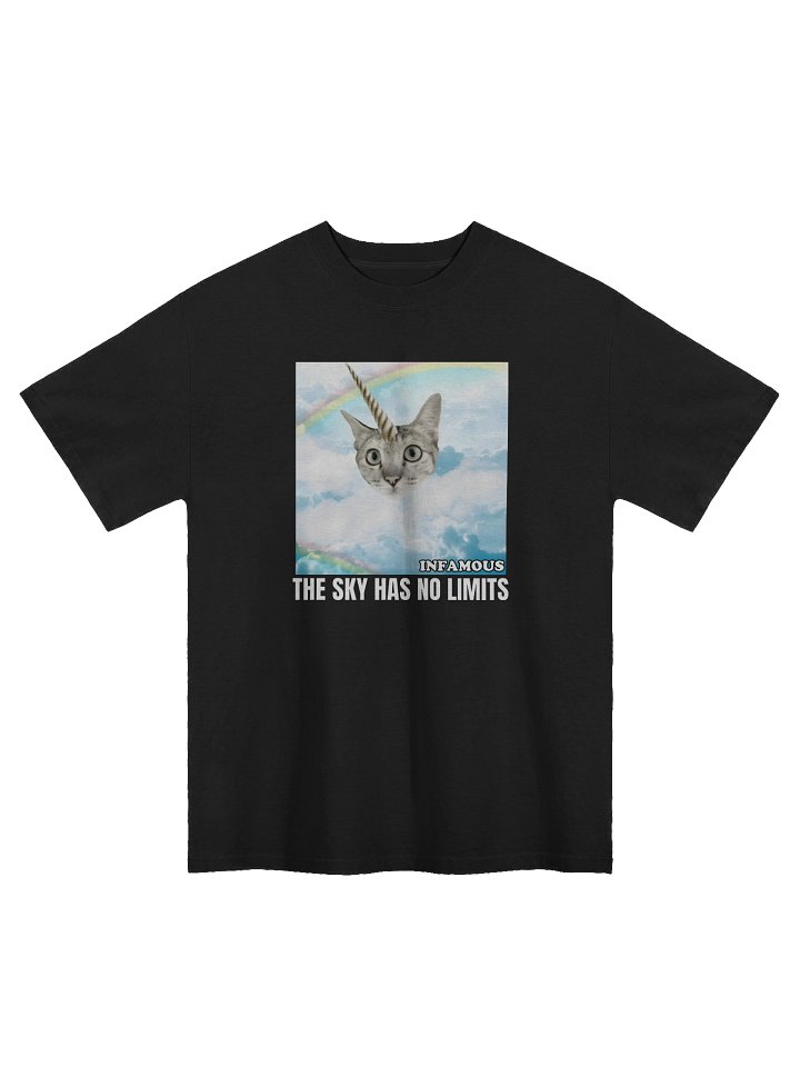 The Sky Has No Limits Oversized Tee - BLACK product image (1)