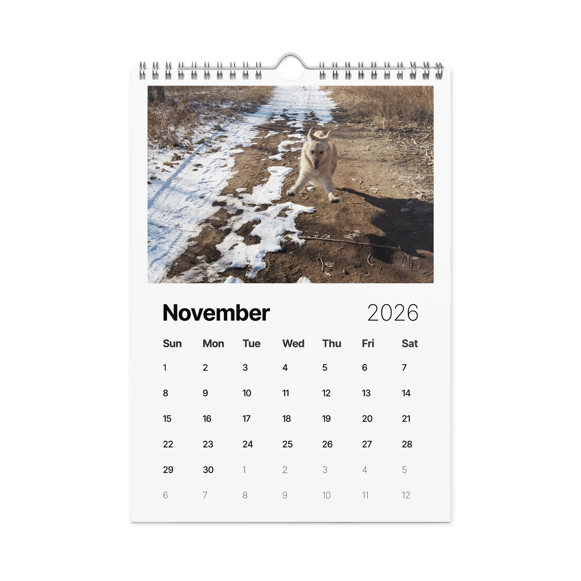 Milo's Life 2026 Wall Calendar product image (10)