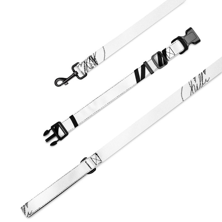 Shadow Walker – Halsband- & Leinen-Set product image (2)