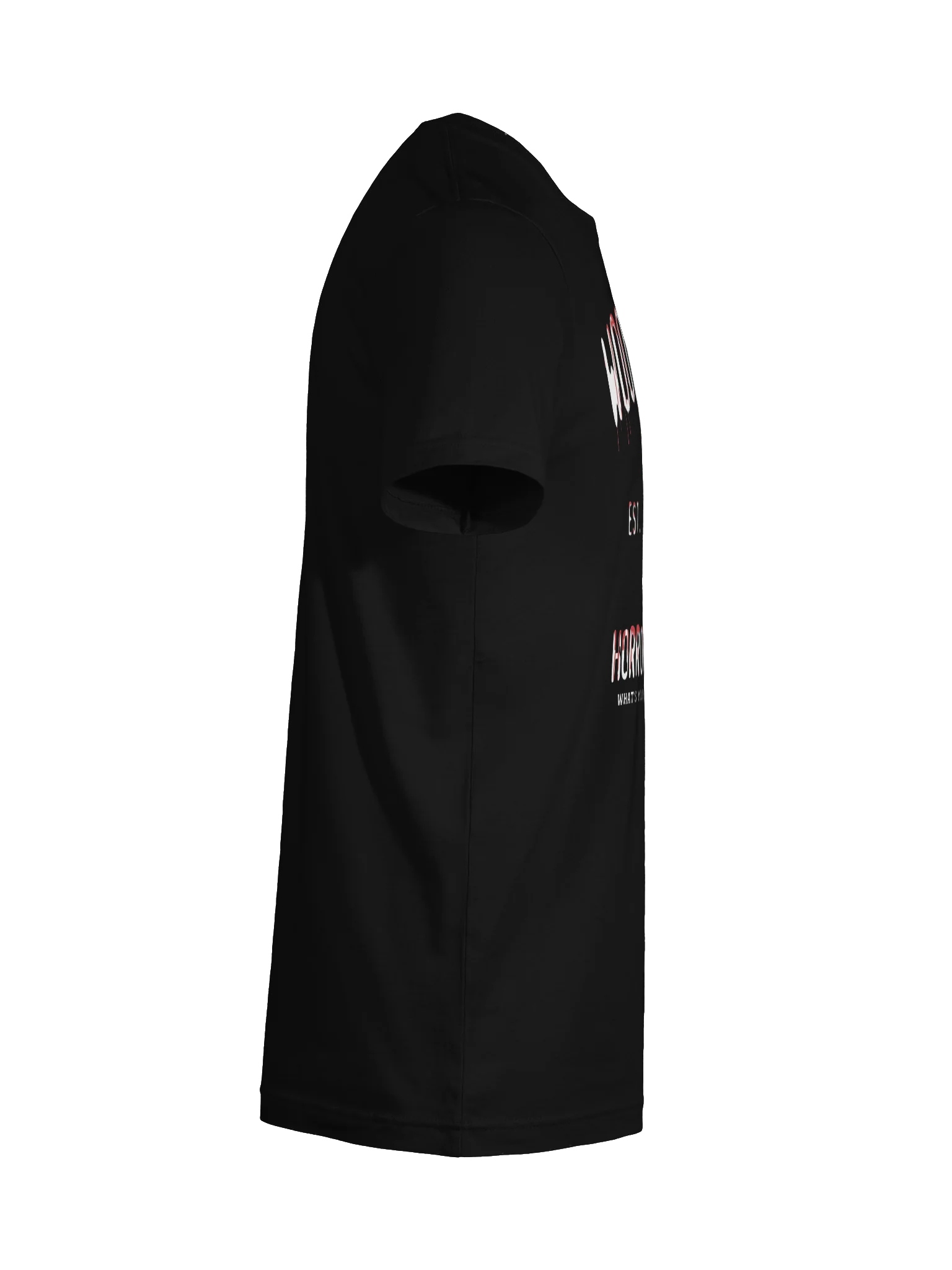 WOODSBORO TEE product image (37)