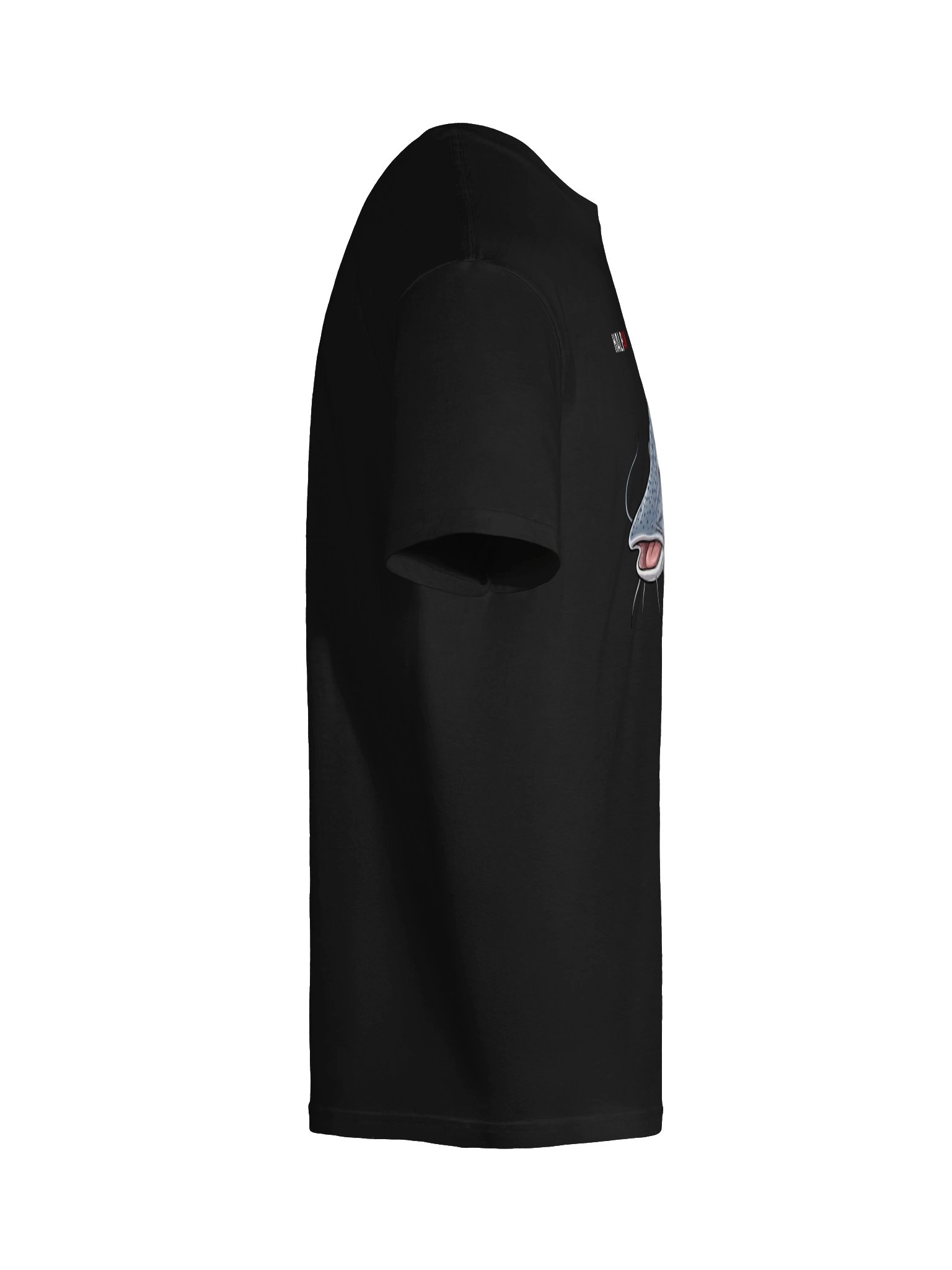 Remera HALP4K Fish Series – Surubí product image (10)
