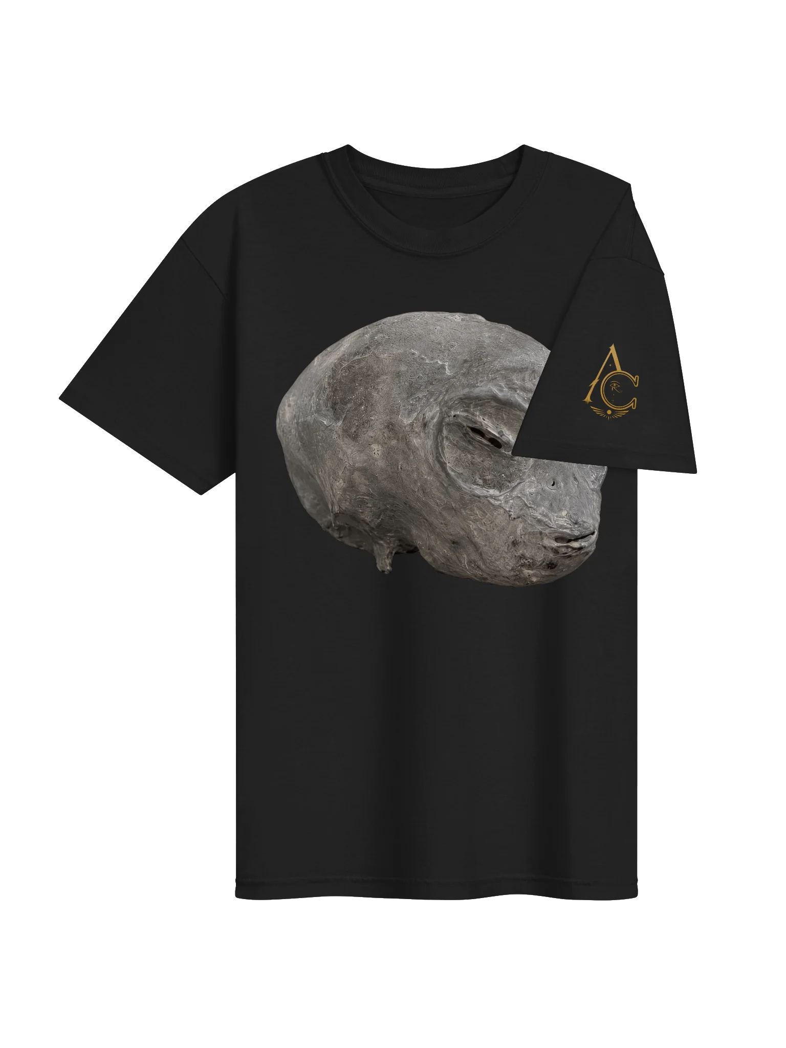 Cleaned Nazca Head Premium T-Shirt product image (4)