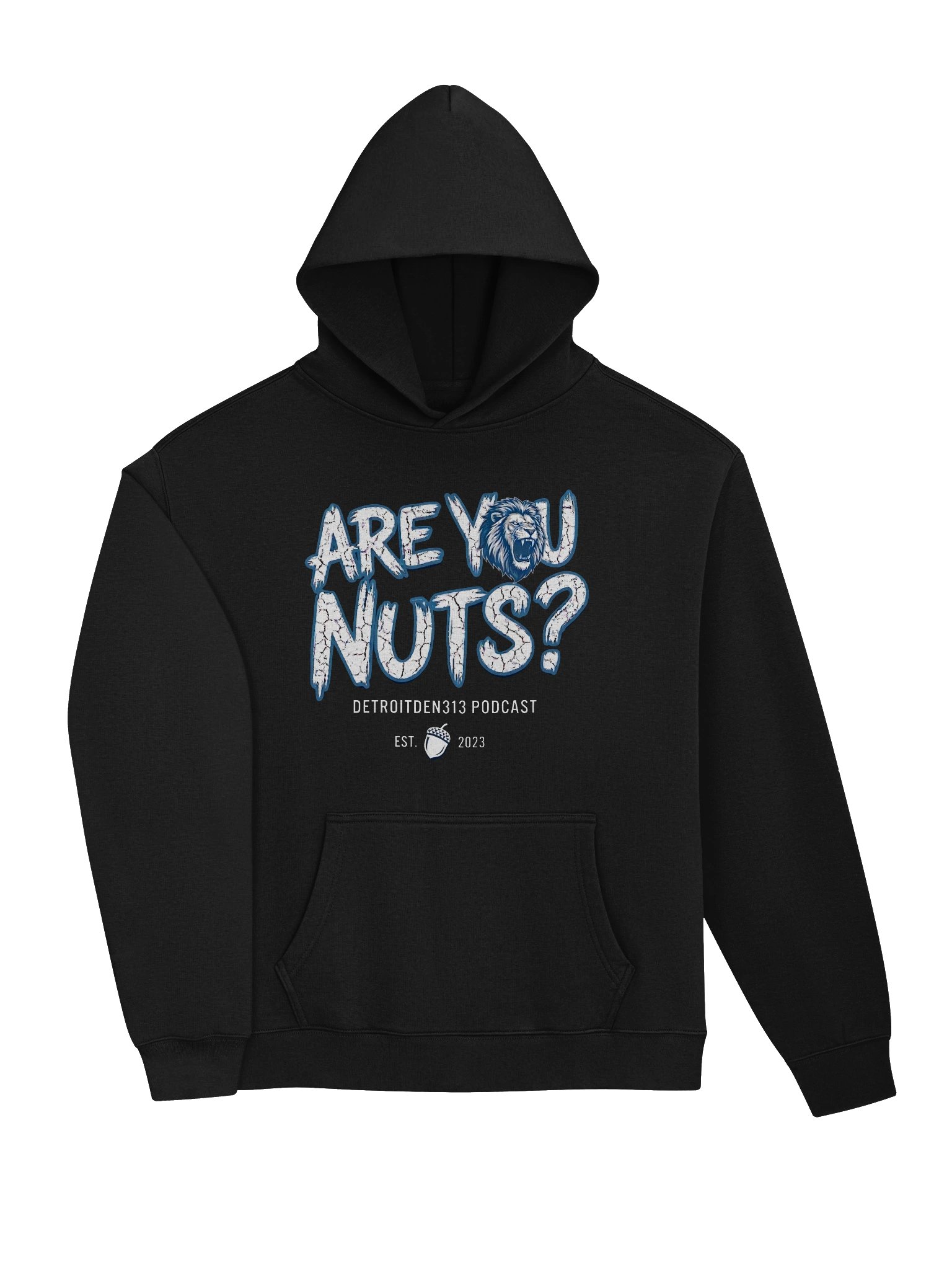 AYN Signature Hoodie product image (3)