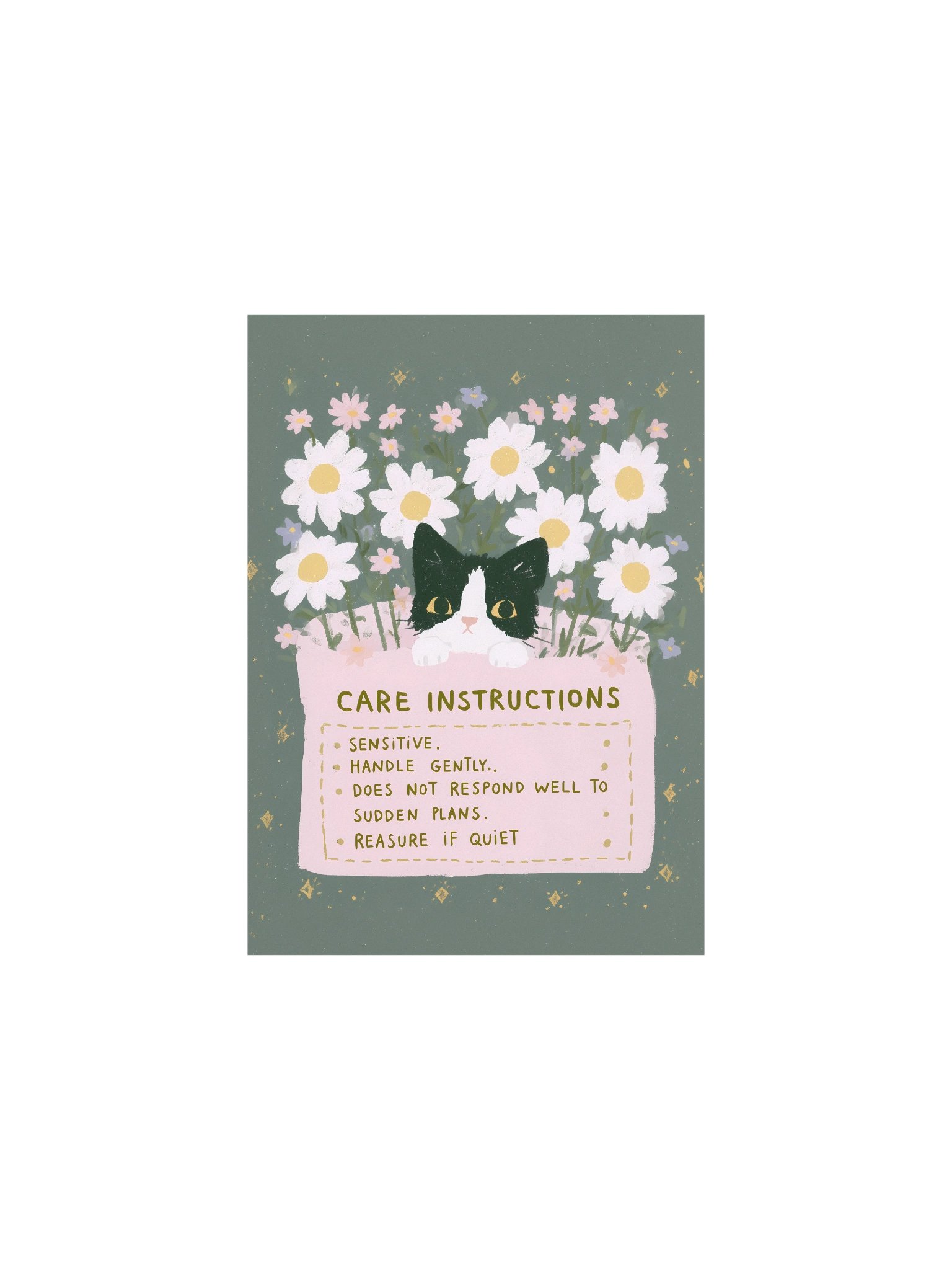 Sensitive Cat Care Instructions Poster product image (3)