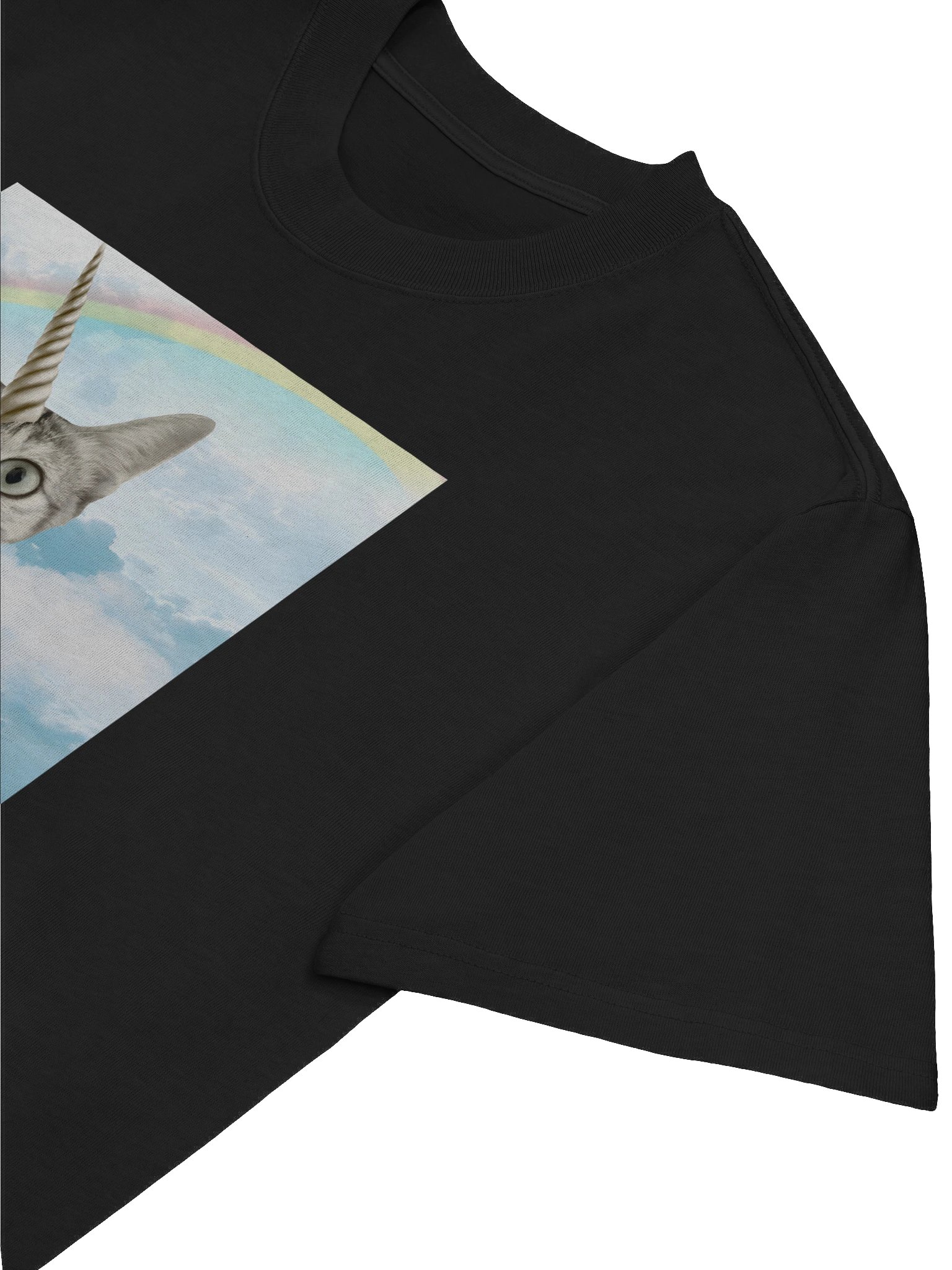 The Sky Has No Limits Oversized Tee - BLACK product image (5)