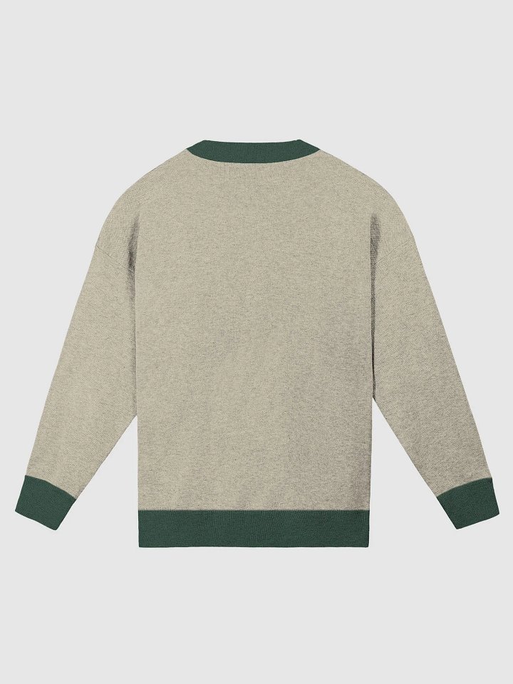 ANGELIC (lg. lined design, pine and beige) knitwear relaxed crewneck product image (10)